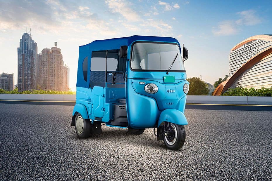 GoGo P5009