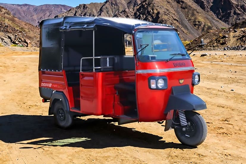 Mercury Dodo E-Rickshaw