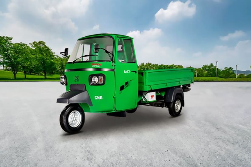 Baxy Mobility Super King