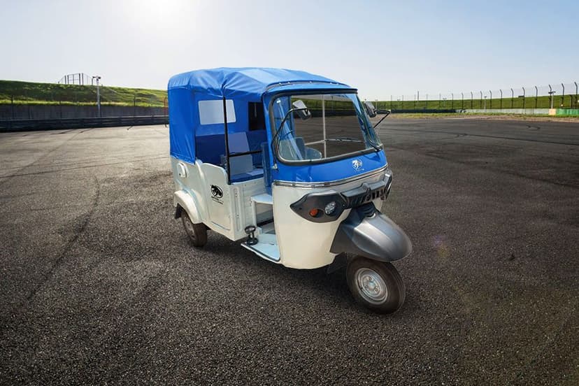 OPG Mobility OTTOPG P31