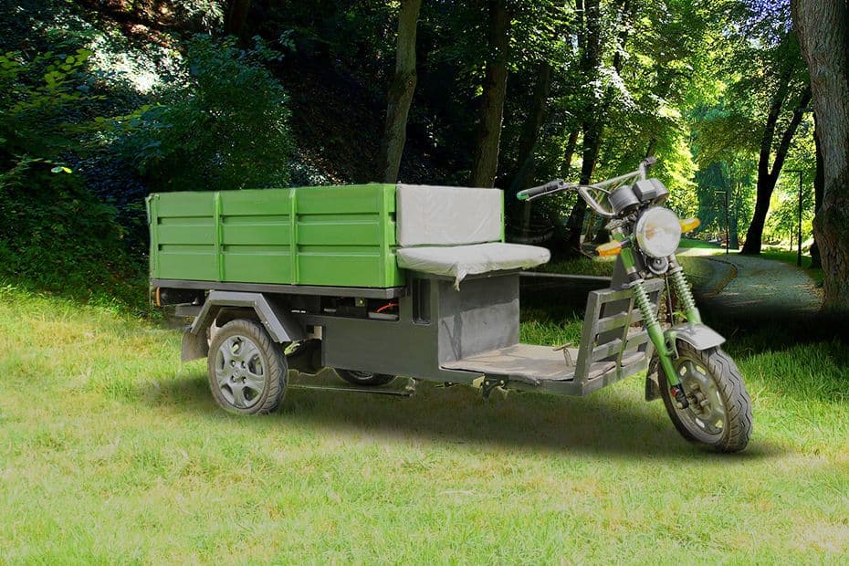 Tejas Cargo Cart