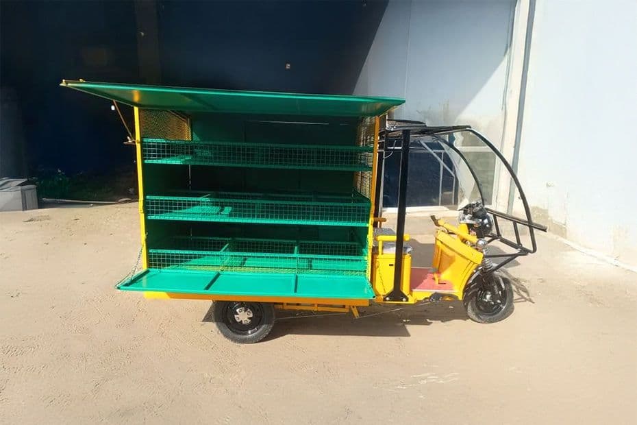 Bhavi Vegetable Cart